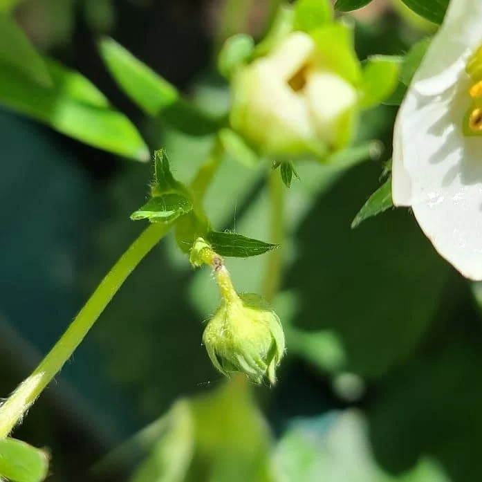 photo_2021-05-28_23-09-28 (2).jpg