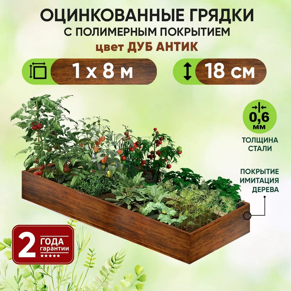 Грядка Дуб Антик (1 х 8)