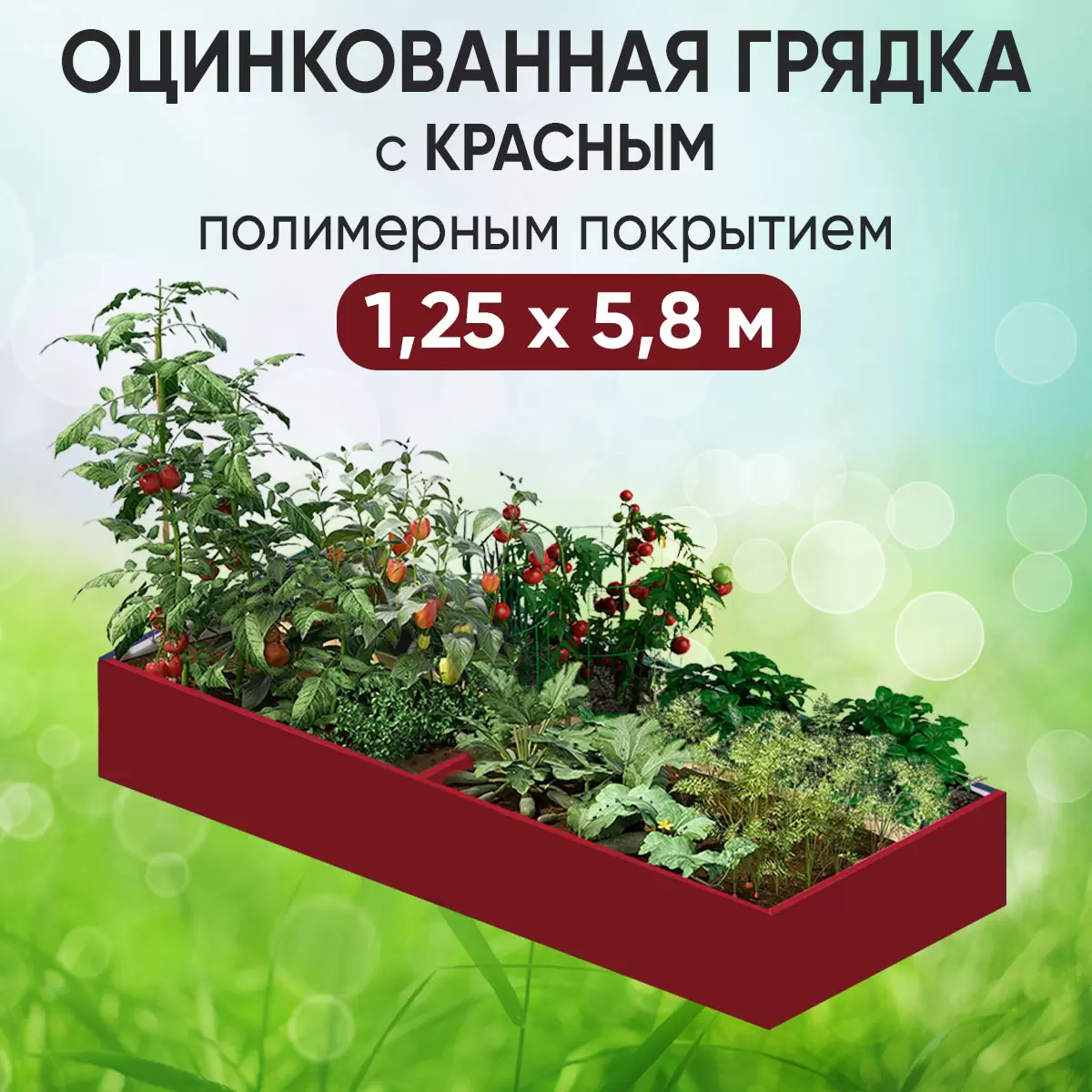 Грядка красная (1,25 х 5,8)